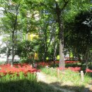 상삼공원 이미지