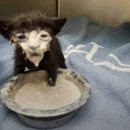 무역영어 1급 문제풀이 | 무역영어 1급 독학 합격 후기 - 인강광고 X