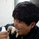 산성이층집
