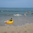 낙산농장 이미지