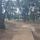 송림톱밥 이미지