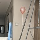 라임키즈풀빌라 이미지