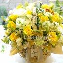 유남경 패션갤러리 이미지