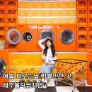 오브제애월 | 제주 애월 비오는날 실내관광지 제주홀릭뮤지엄 입장권 할인