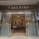 성은수지 이미지