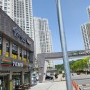 무궁화태권도장 이미지