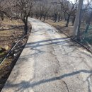 세림농장 이미지