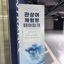 주차54 | 시흥 거북섬 더베이54 14개랑 아기랑 다녀온 내돈내산 후기/주차, 수유실, 식당 꿀팁-시흥 아기랑 갈만...