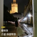 노아민박 | 스페인 세비야 여행 세비야 스냅 야경투어