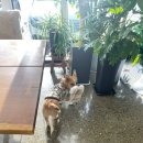 버디24스크린골프장 이미지