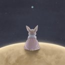 달토끼