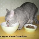 뭉뭉이네 이미지