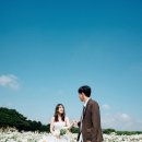 제주 스냅 가격 괜찮은 곳 찾는다면? 엘무드 스냅 내돈내산 후기 / 서이추 환영