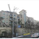 분당-373 이미지