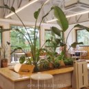 카페구르미 이미지