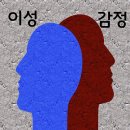 아들러부모교육연구소