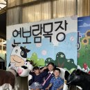 채은목장 Daum카페
