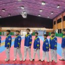 드림태권도 스포츠클럽 이미지