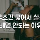 블랙스짐 이미지