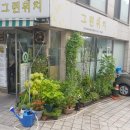 서초대로48길 91 이미지