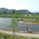 인라인스케이트장 이미지