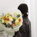 버드앤바인 이미지