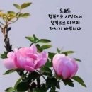 꽃향기 이미지