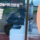 나쁜 남자 컨셉. 이미지