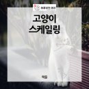 동물병원예지 이미지