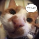 실바테크 | [수원] 롯데 타임빌라스 케이스티파이(CASETiFY) 스튜디오 방문 주문 예약! 갤럭시S26 울트라 KBO 삼성...