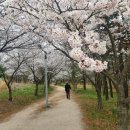 금광 아파트옆 이미지