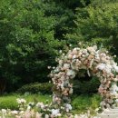 신흥안길 40-15 이미지