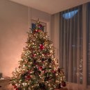 크리스마스 트리 이미지