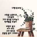 원파파