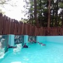 도시철도 종합운동장역 7번출구 이미지