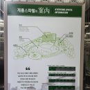 계룡스파텔 사우나 이미지