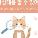 도담도담동물병원 이미지