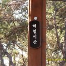 윗선골 Daum카페