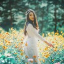 드레스코코 네이버블로그