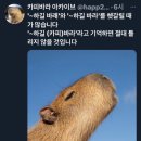 풍요의 계절 네이버블로그