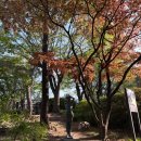 (주) 호텔 더 팔래스 | [서울/호캉스] 신라호텔 투숙 &amp; 신라호텔 더라이브러리 저녁 후기