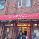 바이유니드