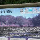 동산초등길 티스토리