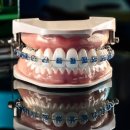 준치과기공소 이미지