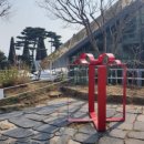 셀 로스터스 강화점