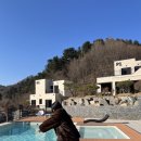 G3-2 | 서울 근교 자쿠지 신상 숙소 l 디에펠 풀빌라 가평 풀빌라 G3 후기