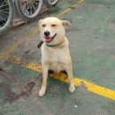 동인카센터 이미지