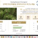 더마리턴5