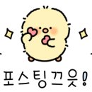 진성 건축사사무소 이미지