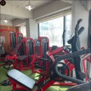 YC바디핏 이미지